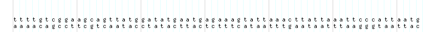 DNA/GC_Content detail