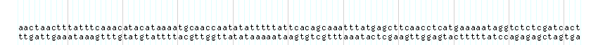 DNA/GC_Content detail