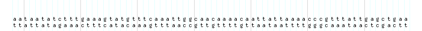 DNA/GC_Content detail