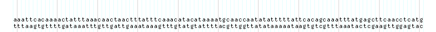 DNA/GC_Content detail