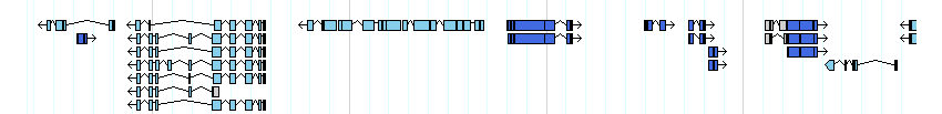 genes detail