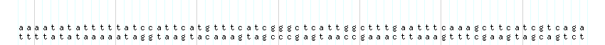 DNA/GC_Content detail