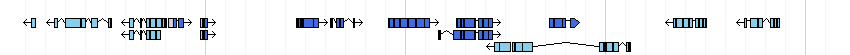 genes detail