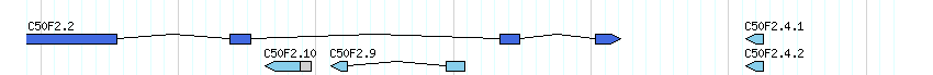 genes detail