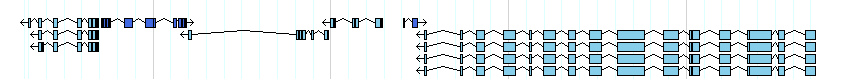 genes detail
