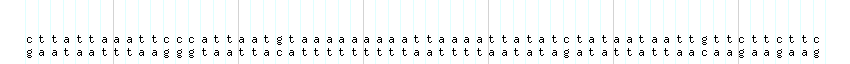 DNA/GC_Content detail