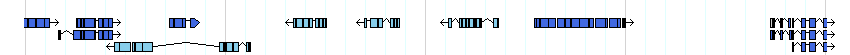 genes detail