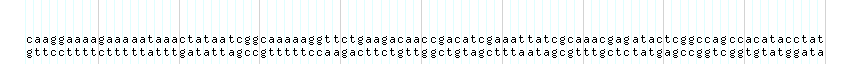 DNA/GC_Content detail