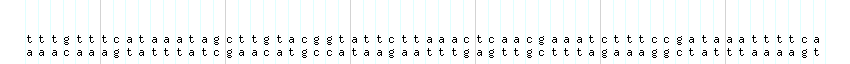 DNA/GC_Content detail