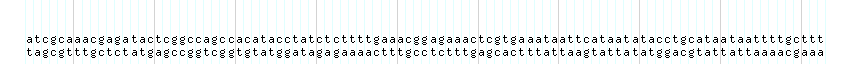 DNA/GC_Content detail