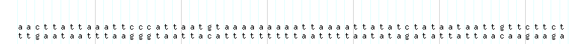 DNA/GC_Content detail