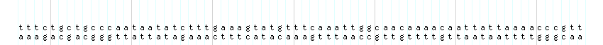 DNA/GC_Content detail