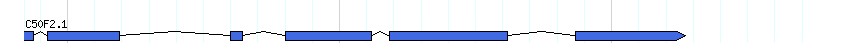 genes detail
