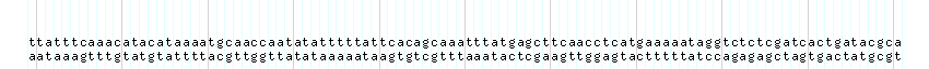 DNA/GC_Content detail