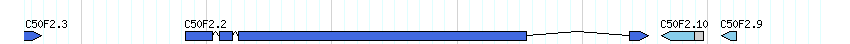 genes detail
