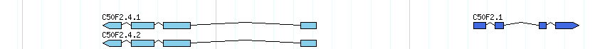 genes detail