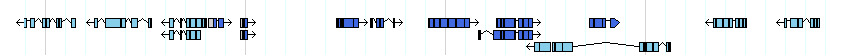 genes detail