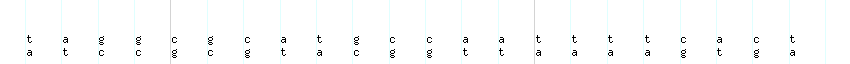 DNA/GC_Content detail