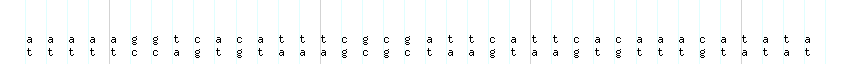DNA/GC_Content detail