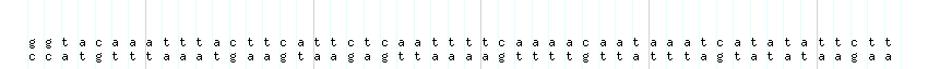 DNA/GC_Content detail