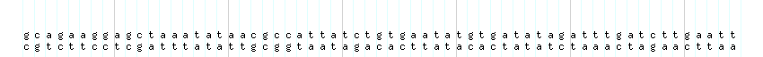 DNA/GC_Content detail