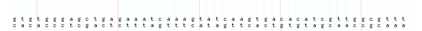 DNA/GC_Content detail