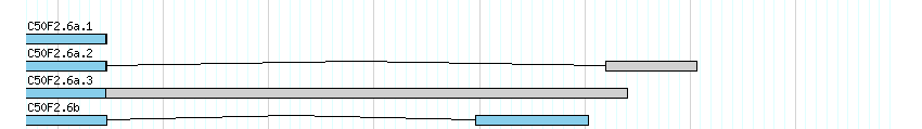 genes detail