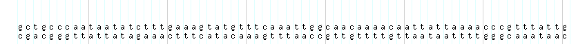 DNA/GC_Content detail