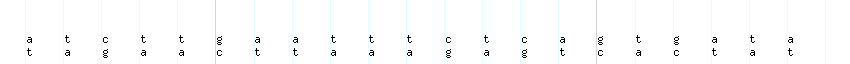 DNA/GC_Content detail