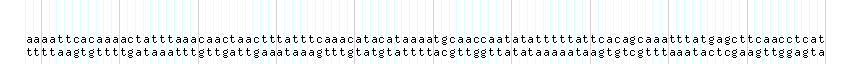 DNA/GC_Content detail