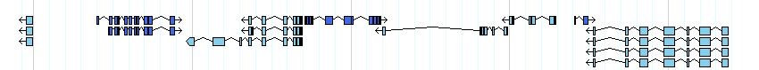 genes detail