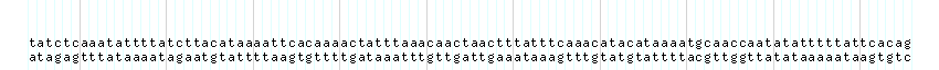 DNA/GC_Content detail