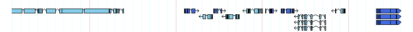 genes detail