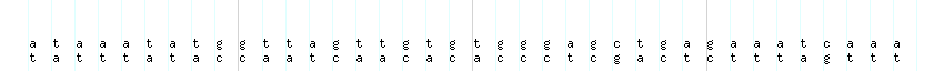 DNA/GC_Content detail