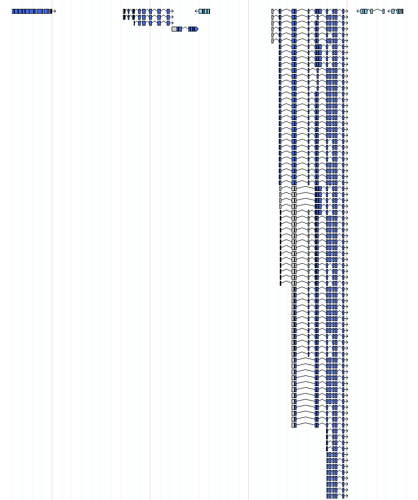 genes detail