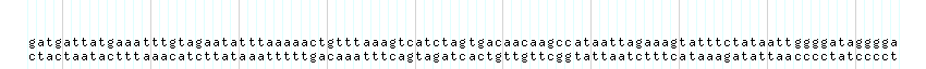 DNA/GC_Content detail