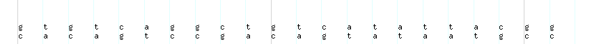 DNA/GC_Content detail