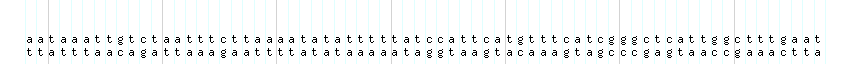 DNA/GC_Content detail