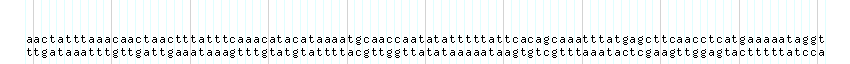 DNA/GC_Content detail