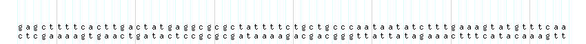 DNA/GC_Content detail