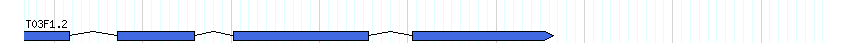 genes detail