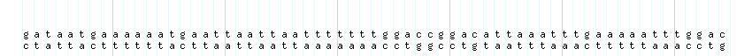 DNA/GC_Content detail
