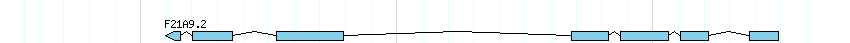 genes detail