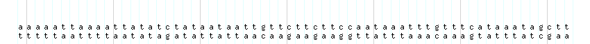 DNA/GC_Content detail