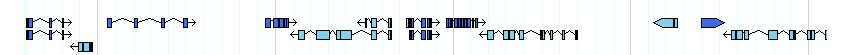 genes detail