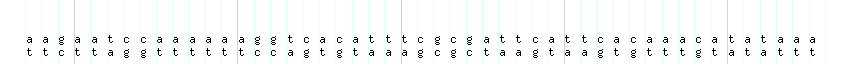 DNA/GC_Content detail