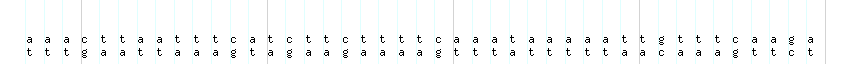 DNA/GC_Content detail