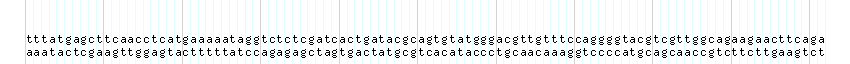 DNA/GC_Content detail