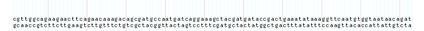 DNA/GC_Content detail