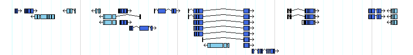 genes detail